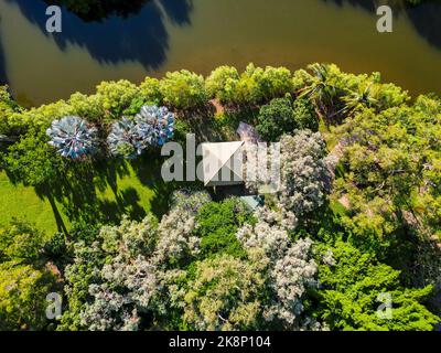 Ripresa aerea verso il basso della capanna tropicale accanto al fiume nel giardino botanico di Cairns Foto Stock