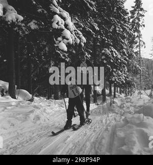 Oslo 21 gennaio 1967. I corridori di sci del mondo deciso -elite si sono presentati alla linea di partenza quando una cooperativa di alloggi alla periferia di Oslo ha organizzato piste per i più giovani - in collaborazione con la rivista fotografica corrente. Qui, Christian Otterbech, sei anni, con il compagno di coppia Harald Grønningen che ha dovuto guardare battuto come hanno attraversato il traguardo. Foto: Ivar Aaserud / corrente / NTB Foto Stock