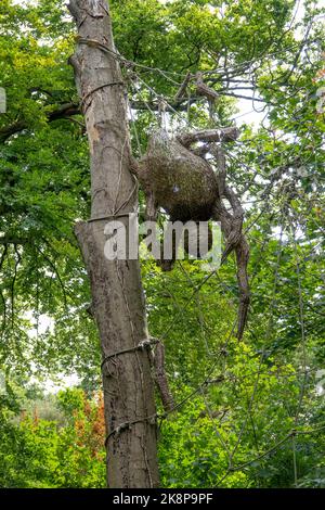 ragno e ragnatela fatti da corda appesa ad un tronco d'albero Foto Stock