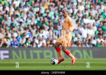 Antoine Griezmann di Atletico de Madrid durante il campionato spagnolo la Liga partita di calcio tra Real Betis e Atletico de Madrid il 23 ottobre 2022 allo stadio Benito Villamarin di Siviglia, Spagna - Foto: Joaquin Corchero/DPPI/LiveMedia Foto Stock