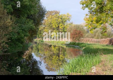 Pocklington canale in autunno Foto Stock