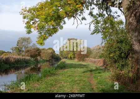 Pocklington Canal in autunno Foto Stock