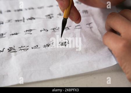Scrittura cinese scritta a mano in linee verticali su un foglio di carta piegata per dare guide verticali alle colonne, da un uomo con un pennello d'inchiostro e calligrafia molto fine e competente. (125) Foto Stock