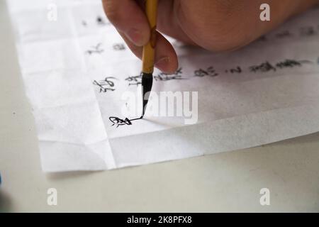 Scrittura cinese scritta a mano in linee verticali su un foglio di carta piegata per dare guide verticali alle colonne, da un uomo con un pennello d'inchiostro e calligrafia molto fine e competente. (125) Foto Stock