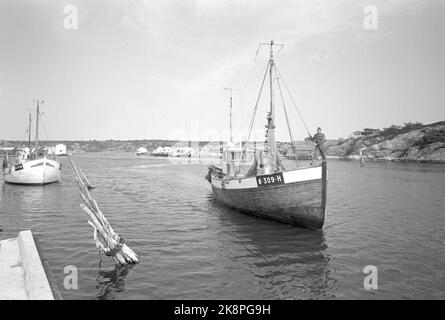 Oslofjord 19690531 su REK dopo gamberi. Sulla pesca di gamberi con l'aquila di mare della barca. L'equipaggio è composto da due uomini. Lo skipper Reidar Hauge Pedersen e il figlio Egil. Foto: Aage Storløkken / corrente / NTB Foto Stock