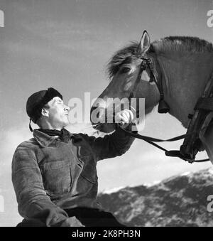 Confine Jakobselv Pasqua 1949 niente di nuovo dal confine a nord Una striscia di 160 chilometri di neve vergine dallo sbocco del confine Jakobselv a Borderfoss a Pasvikdalen, diventa l'unico confine comune tra i paesi del Patto Atlantico e l'Unione Sovietica quando la Norvegia aderisce al Patto A. La corrente passò lungo il confine e parlò con le persone che vi abitavano. Uomo con il cavallo. Foto; Sverre A. Børretzen / corrente / NTB Foto Stock