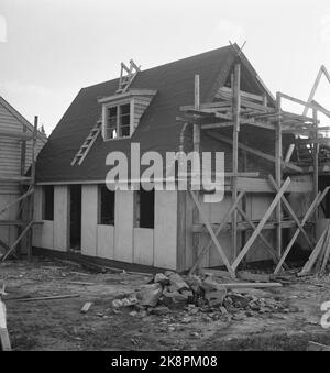 Bærum. Nadderud 1951. 48 case sono in costruzione su Nadderud. 'Si parla di case cittadine all'uno e mezzo piano con arredamento secondo i principi americani. Ogni appartamento è composto da 4 camere e cucina, con una superficie totale di ​​115 mq, oltre al seminterrato sotto la metà della casa. L'affitto sarà di 160.- kroner al mese. Ma può probabilmente essere ridotto. La caparra è stimata a 7.000 NOK per appartamento. ' Qui le pareti sono allestite. Foto: Sverre A. Børretzen / NTB Foto Stock