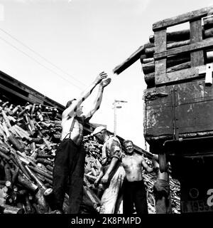 Oslo 1945 agosto. L'allegato a Filipstad. Preparativi per il primo inverno di pace. Uomini in lavoro con il legno. Corrente fotografica / NTB Foto Stock