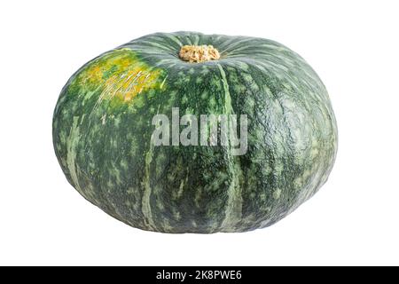 Zucca fresca verde isolata su sfondo bianco. Foto Stock