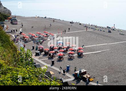 Caffè sulla spiaggia a Beer, Devon. Beach cafe sulla spiaggia di ciottoli a Beer, un popolare villaggio di pescatori nel Devon. Foto Stock