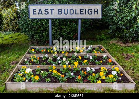 East Budleigh a Bloom. Piantando fuori in autunno. Foto Stock