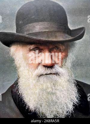 CHARLES DARWIN (1809-1882) naturalista e biologo inglese Foto Stock