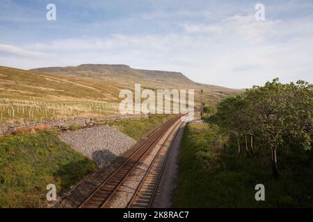 Settle-Carlisle ferroviarie e Cinghiale cadde, Cumbria, Regno Unito Foto Stock