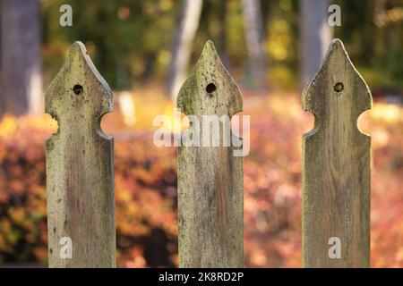 Un vecchio recinto di legno con buchi intagliati e foglie d'autunno arancio nel dorso Foto Stock