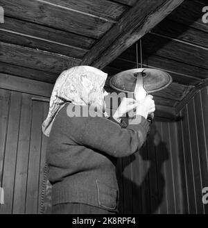 Dalen in Telemark, febbraio 1955. Ingerine e Gorine Schvenius (83 e 81 anni) vivono da soli nella piazza Roi o Rui nella valle del Telemark. Il tempo si è fermato in questa piccola piazza in alto nel mondo delle montagne. Qui si accende la spia Ingerine paraffine. Foto: Aage Storløkken / corrente / NTB Foto Stock