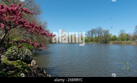 Una vista delle piante botaniche sull'acqua prima di un edificio sotto il cielo blu di Jackson Park Foto Stock