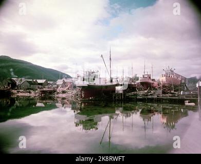 Rognan Innerst i Saltdalsfjorden 19531010. Rognan er kjent over hele Nord-Norge som stedet hvor fiskeskøyter bygges og repareres. Småskipsbyggingen har urgalle tradisjoner, per hundrevis av år siden sto folk og bygde båter i små skur nede i fjæra. De fleste bøndene har en båt for segg selv på låven i vedskjulet eller i et skur. Båtene byges i mørke høst--og vinterdagene når arbeidet med gardsbruket ikke stjeler så mange timer AV døgnet. Langs hele stranda i Rognan er skøyter sotto byging eller til reparasjon. Foto: Sverre A. Børretzen / Aktuell / NTB Foto Stock