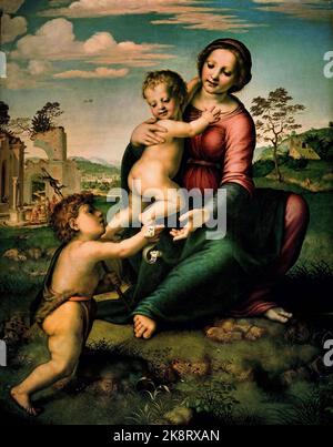 Madonna del pozzo 151Madonna del pozzo o Madonna col Bambino con il giovane San Giovanni Battista 1510 Franciabigio 1482 –1525 Firenze pittore italiano del Rinascimento fiorentino.(il suo vero nome potrebbe essere Francesco di Cristofano, Tuttavia è anche chiamato Marcantonio Franciabigio o Francia Bigio. Foto Stock