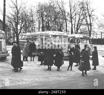 Arvika, Svezia 195412. Le casalinghe norvegesi hanno conquistato Arvika. Nel mese di dicembre, la città è stata invasa fino a 20 autobus norvegesi imballati da casalinghe shopping di Natale. Lunghe code di casalinghe nel negozio coloniale e il negozio di giocattoli per acquistare a buon mercato ciò di cui hanno bisogno per Natale. Alcuni giorni ci sono fino a 6-700 donne di shopping di Natale. Qui è dall'arrivo di Arvika, le casalinghe affrettano fuori degli autobus per raggiungere il più possibile. Foto: Aage Storløkken / corrente / NTB Foto Stock