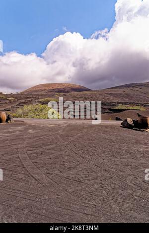 Vigneto di Lanzarote - vitigni che crescono in pozzi di lava per produrre vino locale, la Geria, Lanzarote, Isole Canarie, Spagna Foto Stock