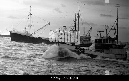 19690322. "L'anno più nero dell'aringa". Il risultato della pesca invernale delle aringhe di quest'anno è il peggiore che abbiamo avuto in questo secolo. Ma non è solo la base naturale, l'aringa, che ha fallito. Lo sviluppo della flotta di aringhe è avvenuto senza obiettivi e senza gestione. Se questo sviluppo continua, un certo numero di queste barche entreranno sotto il martello dell'asta in breve tempo. La barca da pesca 'Jøkul' e altre 100 barche si trovano sul mare a nord di Kristiansund in attesa della grande aringa. Foto: Sverre A. Børretzen / NTB Foto Stock