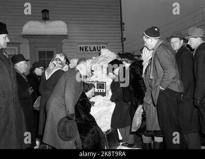 Nelaug stazione 19510207: Forte nevicata sulla parte meridionale del paese ha creato caos nel traffico ferroviario. In totale, cinque treni sono rimasti bloccati nelle masse di neve alle stazioni di Helldalsmo e Nelaug, e i passeggeri hanno dovuto trascorrere la notte in treni ghiacciati. Qui, i passeggeri di Nerlaug ascoltano una radio messa fuori nella neve. La buona notizia era che i taxi erano sulla strada per evacuare i passeggeri. Foto: NTB / NTB Foto Stock