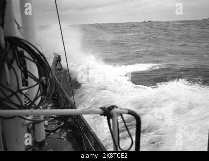 19690322. "L'anno più nero dell'aringa". Il risultato della pesca invernale delle aringhe di quest'anno è il peggiore che abbiamo avuto in questo secolo. Ma non è solo la base naturale, l'aringa, che ha fallito. Lo sviluppo della flotta di aringhe è avvenuto senza obiettivi e senza gestione. Se questo sviluppo continua, un certo numero di queste barche entreranno sotto il martello dell'asta in breve tempo. Il pattino da pesca 'Jøkul' con dodici uomini si trova sul mare a nord di Kristiansund in attesa della grande aringa. Foto: Sverre A. Børretzen / NTB Foto Stock