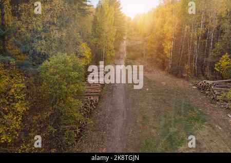 Vista dall'alto dei tronchi impilati nella foresta lungo la strada. Registrazione. Fotografia con droni. Foto Stock