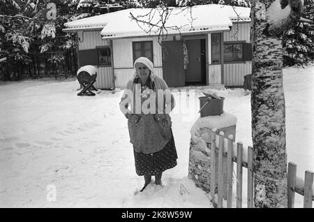 Våler, Solør marzo 1973: Tater-Milla (nato intorno al 1867) fotografato a casa sua a Våler, 86 anni. Porta tiro, orecchini e argento. Il suo nome completo era Jenny Emilie Pettersen. Foto: Ivar Aaserud / corrente / NTB Foto Stock