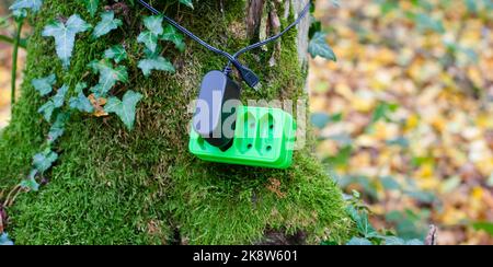 Presa elettrica verde su tronco d'albero, energia rinnovabile sottostabile, concetto csr, protezione dell'ambiente, tecnologia ecologica Foto Stock