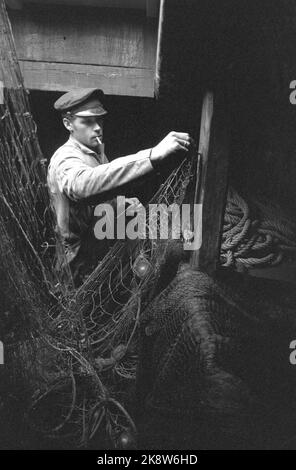 Oslofjord 19690531 su REK dopo gamberi. Sulla pesca di gamberi con l'aquila di mare della barca. L'equipaggio è composto da due uomini. Lo skipper Reidar Hauge Pedersen e il figlio Egil. Egil con la sigaretta in bocca. Foto: Aage Storløkken / corrente / NTB Foto Stock