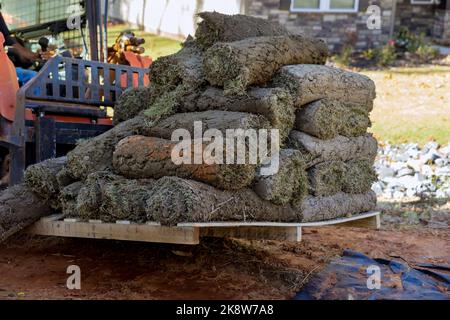 Si tratta di un carrello elevatore a forche in cantiere che scarica i rotoli di erba verde su pallet da utilizzare per l'architettura paesaggistica. Foto Stock