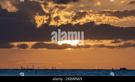 Tramonto mozzafiato da Oahu alle Hawaii con silhouette di surfisti e nuotatori. Foto Stock