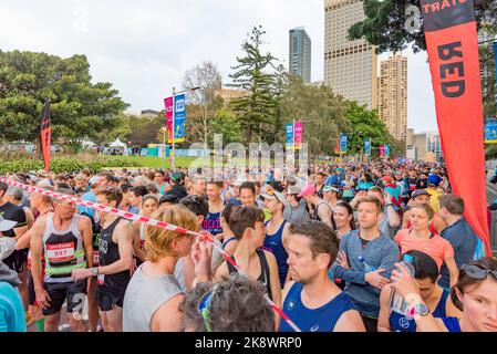 I corridori in attesa nel gruppo Red per la gara City to Surf a Sydney, compresi i corridori ceduti e quelli che si aspettano di finire in meno di 70 minuti Foto Stock