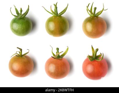 pomodori ciliegini, frutti di bosco non maturi a maturi, isolati su fondo bianco, vista primo piano presa direttamente dall'alto Foto Stock