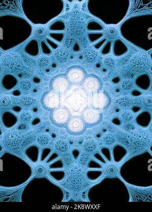 Forma geometrica frattale con struttura dettagliata, un'illustrazione della complessità del modello con profondità e complessità infinite. Un mandala blu. Foto Stock