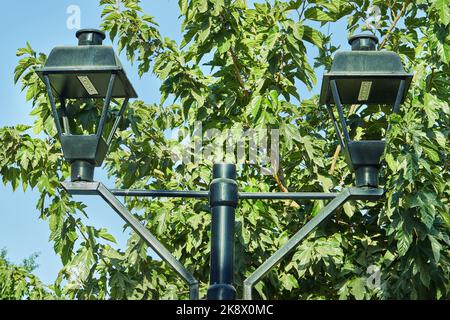 Lanterne moderne in stile antico sullo sfondo del verde e del cielo, per illuminare le strade della città Foto Stock