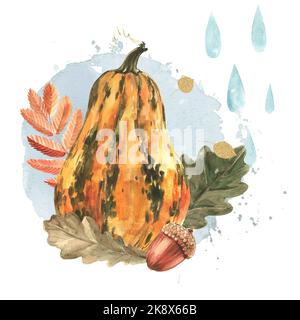 Una zucca allungata, quercia e foglie di rowan, un acorno sullo sfondo di gocce di pioggia. Illustrazione di acquerello disegnata a mano isolata su backgro bianco Foto Stock