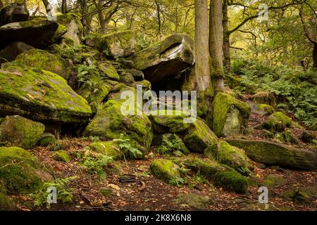 Rocce ricoperte di muschio e una piccola grotta a Padley Gorge nel Peak District del Derbyshire Foto Stock