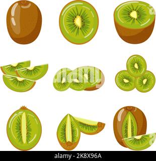 Kiwi icone set cartoon vettore. Coltivazione di frutta Illustrazione Vettoriale