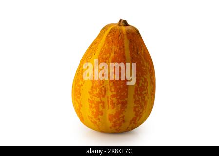 Zucca giallo e arancione ornamentale isolata su bianco, sentiero di ritaglio Foto Stock