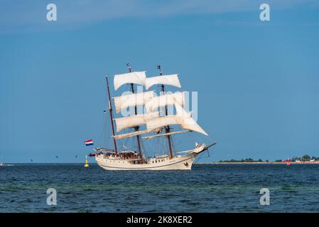 Kiel, Deutschland, Juli 2019 Die Bark 'Artemis' ursprüngleich in Norwegen als Wahlfänger gebaut, heute ein Traditionssegler vor Laboe unter Segeln in Foto Stock