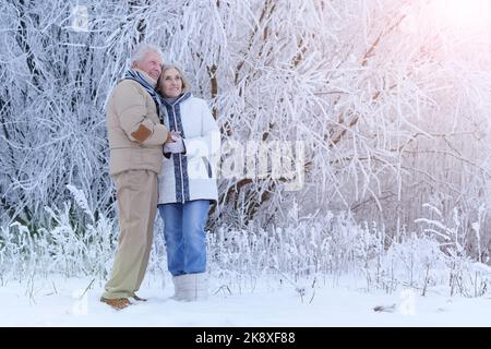 La coppia anziana di Nicel gioisce insieme in inverno Foto Stock