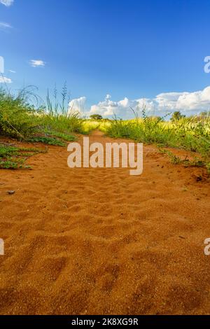 Ampio paesaggio del deserto di Kalahari con la distanza che porta strada sterrata, nuvole nel cielo blu. Kalahari, Sudafrica Foto Stock