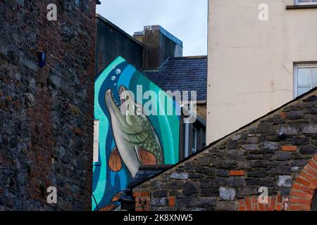 Enniskillen è la città più grande della contea di Fermanagh, Irlanda del Nord. Si trova nel mezzo della contea, tra le sezioni superiore e inferiore di Loug Foto Stock