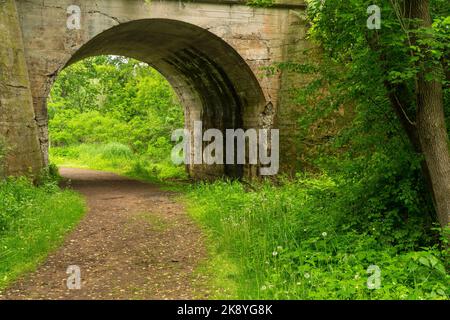 Un sentiero che passa attraverso un ponte ad arco nel bosco. Foto Stock