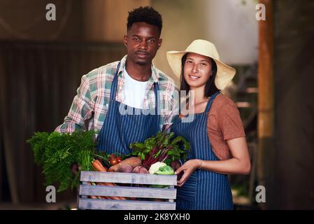 Forniamo alla nazione prodotti freschi. Ritratto di una giovane coppia felice che porta una cassa piena di verdure appena raccolte nella loro fattoria. Foto Stock