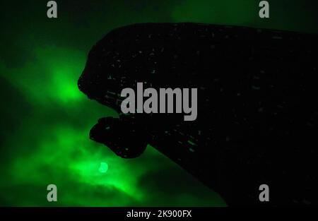 La luna che passa davanti al sole durante una parziale eclissi vista attraverso il vetro da una visiera di saldatura presso i Kelpies vicino Falkirk. Data immagine: Martedì 25 ottobre 2022. Foto Stock