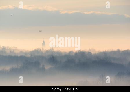 Profili di alberi e chiesa nella nebbia strisciando. Paesaggio invernale Foto Stock