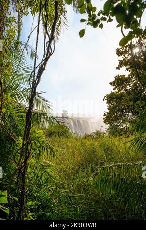 L'acqua delle cascate di Victoria si tuffa nella gola profonda. Cascate Vittoria, Zimbabwe, Africa Foto Stock